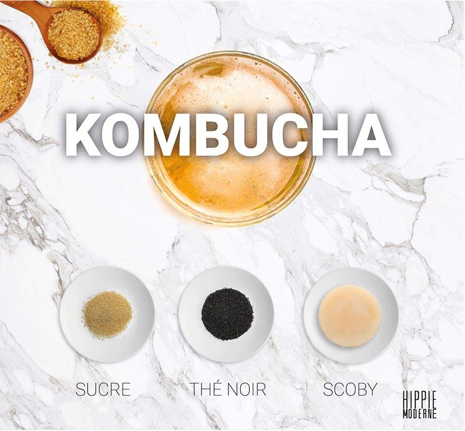 Comment faire du Kombucha ? La recette simple pour débuter